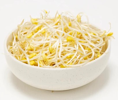 Bean Sprouts 400g - Klice pasulja u konzervi 400g