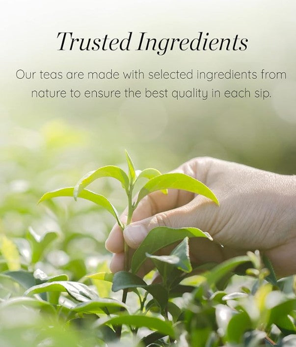 Zeleni čaj sa smeđim pirinčem 30 g (1.5gx20TB)