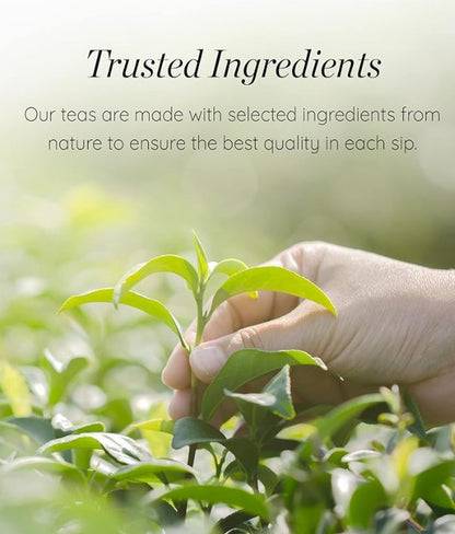 Zeleni čaj sa smeđim pirinčem 30 g (1.5gx20TB)